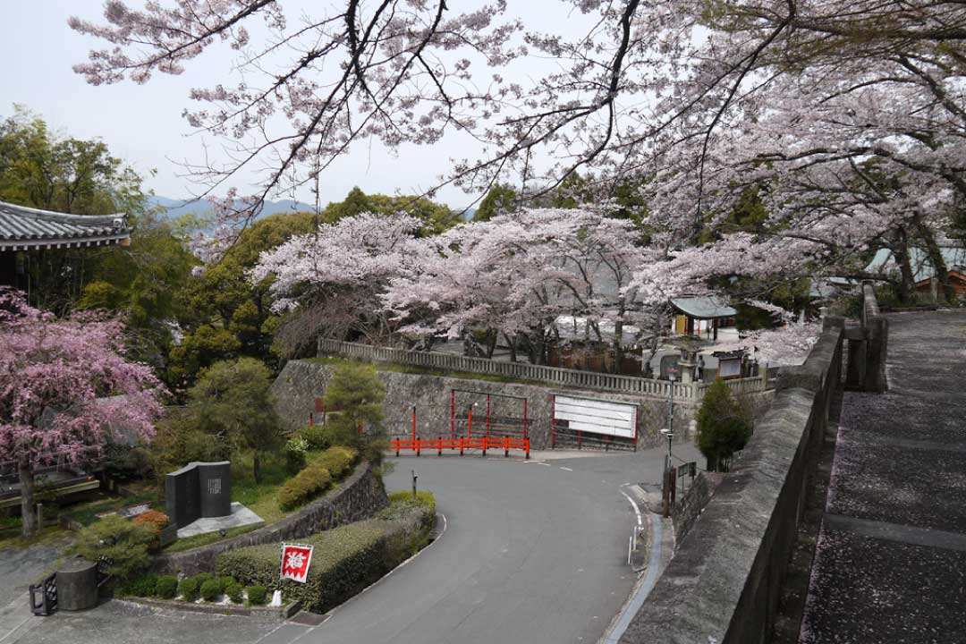 霊山護国神社 京都 観光 貸切タクシー